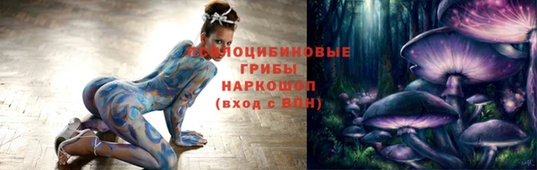 PSILOCYBIN Зеленодольск