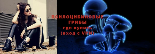 PSILOCYBIN Зеленодольск