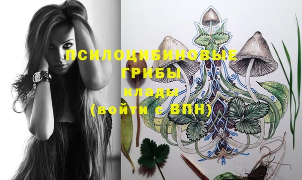 PSILOCYBIN Зеленодольск