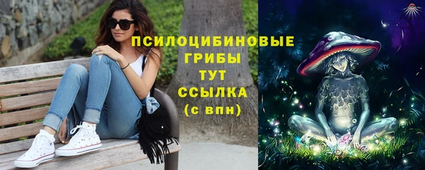 PSILOCYBIN Зеленодольск