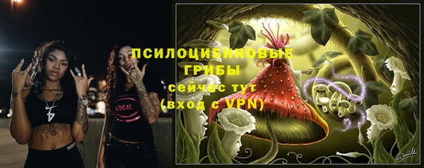 PSILOCYBIN Зеленодольск