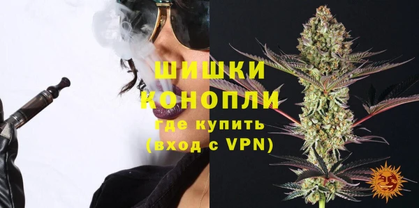 PSILOCYBIN Зеленодольск