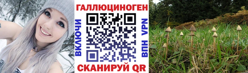 Псилоцибиновые грибы GOLDEN TEACHER  мега как зайти  Истра 